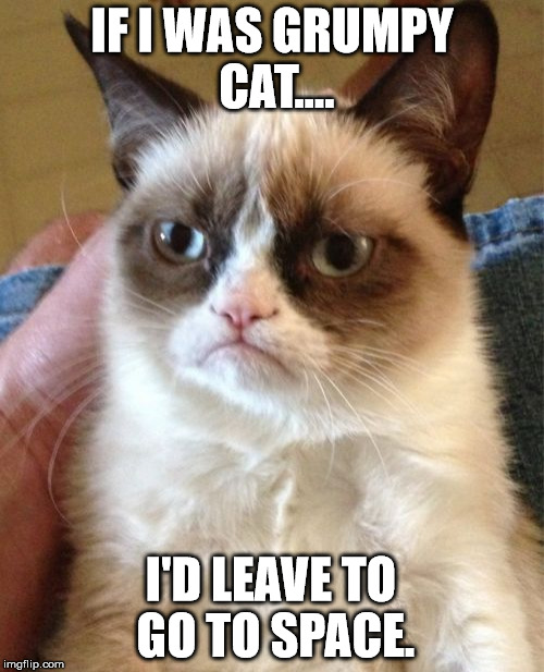 Grumpy Cat Meme | IF I WAS GRUMPY CAT.... I'D LEAVE TO GO TO SPACE. | image tagged in memes,grumpy cat | made w/ Imgflip meme maker