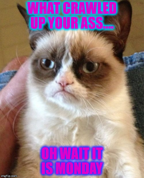Grumpy Cat | WHAT CRAWLED UP YOUR ASS.... OH WAIT IT IS MONDAY | image tagged in memes,grumpy cat | made w/ Imgflip meme maker