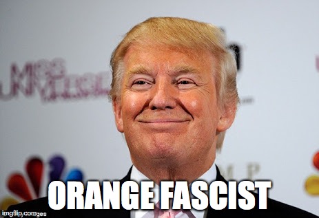 Donald trump approves | ORANGE FASCIST | image tagged in donald trump approves | made w/ Imgflip meme maker
