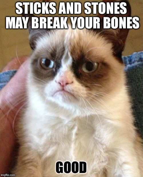Grumpy Cat | STICKS AND STONES MAY BREAK YOUR BONES; GOOD | image tagged in memes,grumpy cat | made w/ Imgflip meme maker