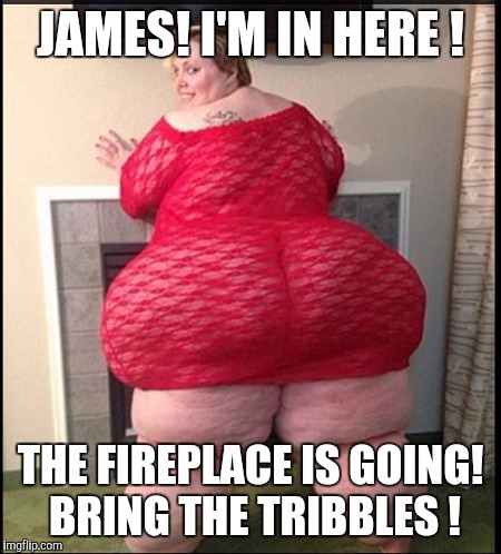 Memes | JAMES! I'M IN HERE ! THE FIREPLACE IS GOING! BRING THE TRIBBLES ! | image tagged in memes | made w/ Imgflip meme maker