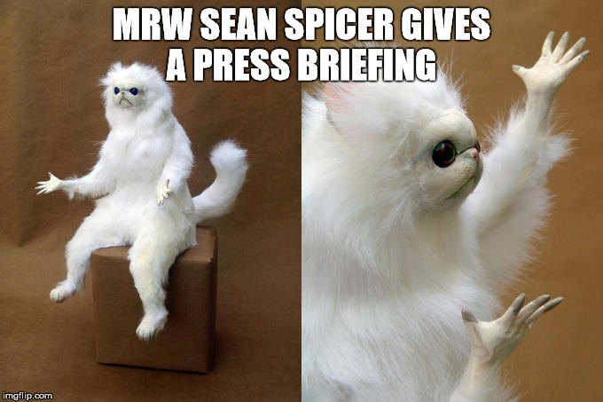 Persian Cat Room Guardian | MRW SEAN SPICER GIVES A PRESS BRIEFING | image tagged in memes,persian cat room guardian | made w/ Imgflip meme maker