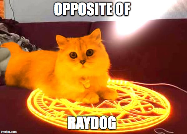 RayCat Powers | OPPOSITE OF; RAYDOG | image tagged in raycat powers | made w/ Imgflip meme maker