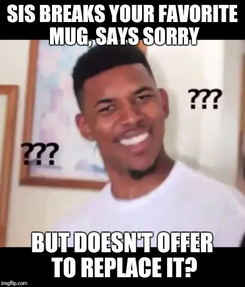 what the fuck n*gga wtf | SIS BREAKS YOUR FAVORITE MUG, SAYS SORRY; BUT DOESN'T OFFER TO REPLACE IT? | image tagged in what the fuck ngga wtf | made w/ Imgflip meme maker