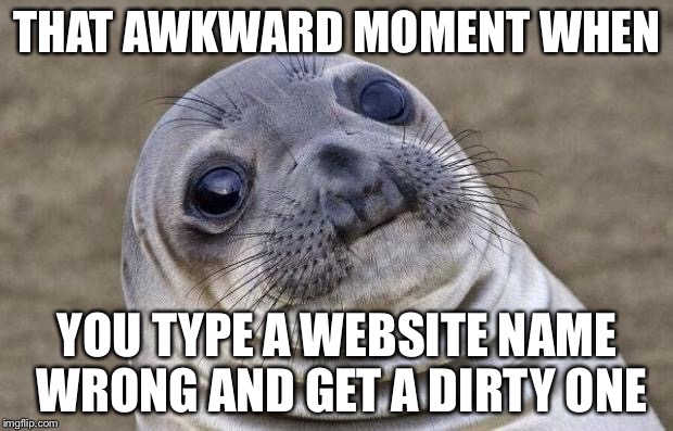 Dirty websites | THAT AWKWARD MOMENT WHEN; YOU TYPE A WEBSITE NAME WRONG AND GET A DIRTY ONE | image tagged in memes,awkward moment sealion | made w/ Imgflip meme maker