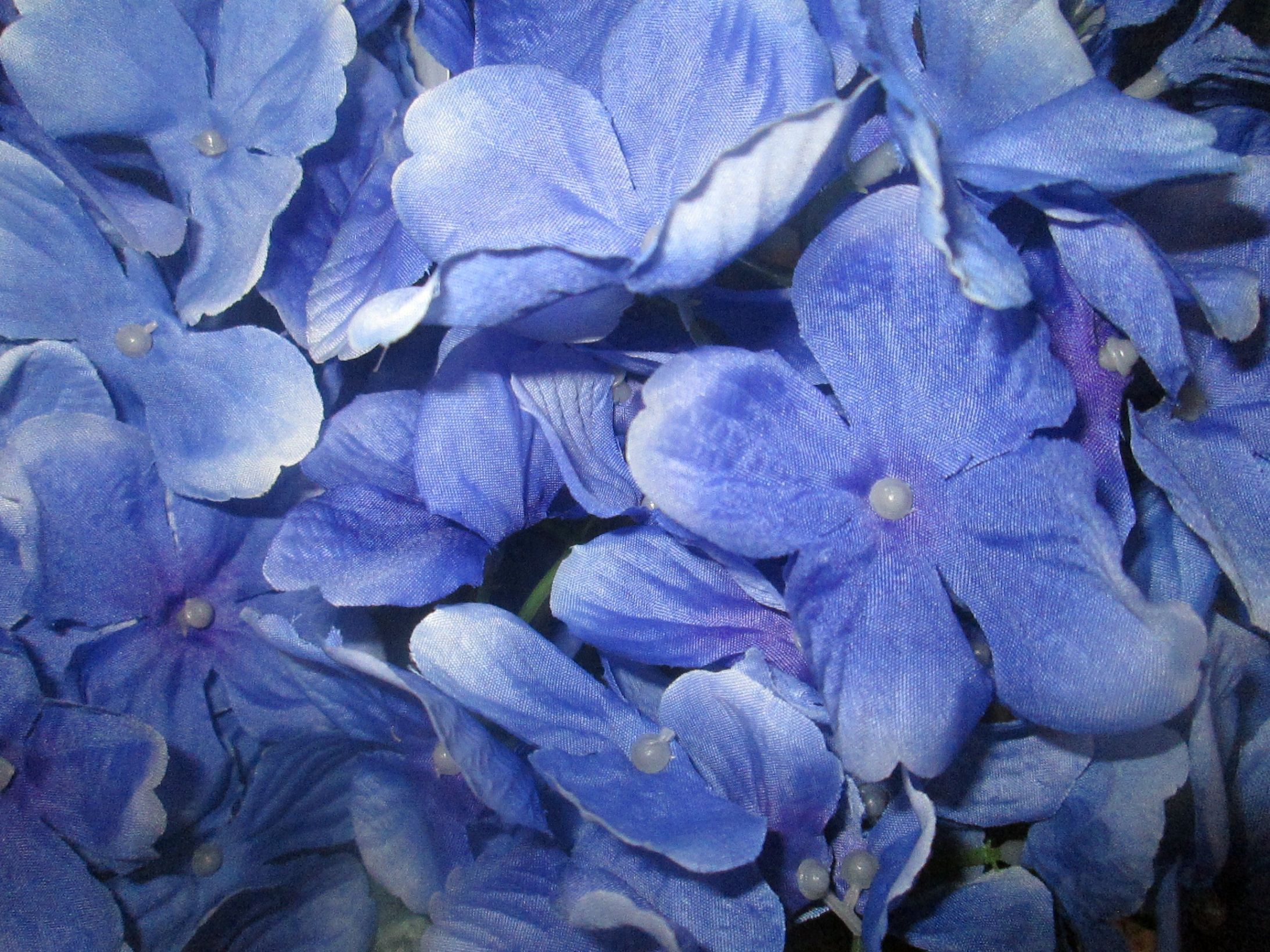 High Quality Blue Flowers Blank Meme Template