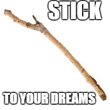 STICK; TO YOUR DREAMS | image tagged in stick | made w/ Imgflip meme maker