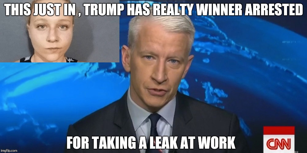 Media spin. | THIS JUST IN , TRUMP HAS REALTY WINNER ARRESTED; FOR TAKING A LEAK AT WORK | image tagged in memes,reality winner,media spin,trump,cnn | made w/ Imgflip meme maker