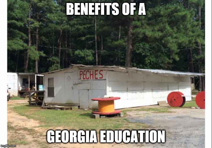 georgia | BENEFITS OF A; GEORGIA EDUCATION | image tagged in education | made w/ Imgflip meme maker