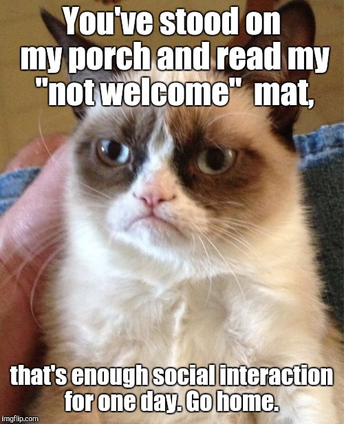 Grumpy Cat Meme | You've stood on my porch and read my "not welcome"  mat, that's enough social interaction for one day. Go home. | image tagged in memes,grumpy cat | made w/ Imgflip meme maker