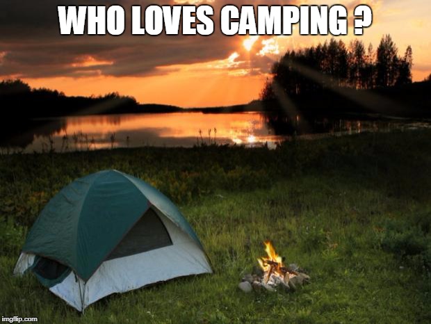 Camping...It's In Tents | WHO LOVES CAMPING ? | image tagged in campingit's in tents | made w/ Imgflip meme maker