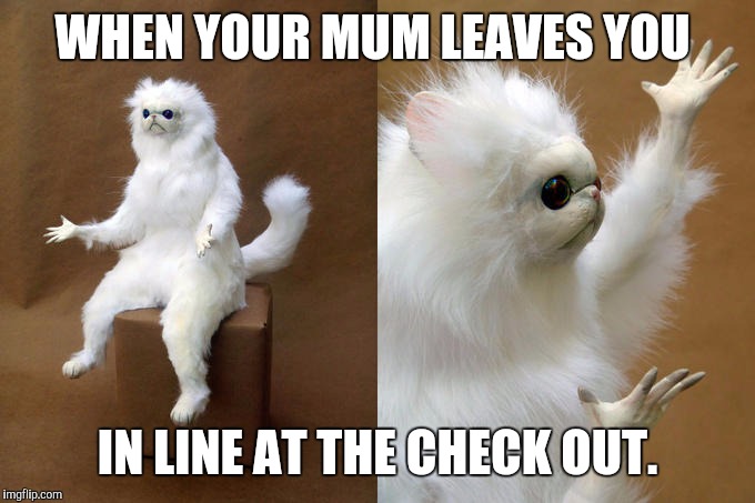 Persian Cat Room Guardian | WHEN YOUR MUM LEAVES YOU; IN LINE AT THE CHECK OUT. | image tagged in memes,persian cat room guardian | made w/ Imgflip meme maker