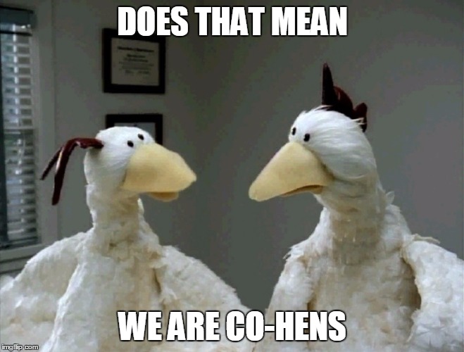 worried chickens | DOES THAT MEAN; WE ARE CO-HENS | image tagged in worried chickens | made w/ Imgflip meme maker
