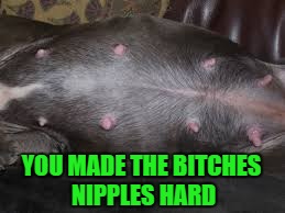 YOU MADE THE B**CHES NIPPLES HARD | made w/ Imgflip meme maker