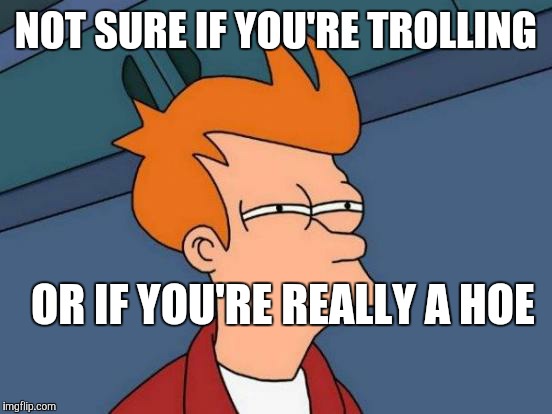 Futurama Fry Meme | NOT SURE IF YOU'RE TROLLING; OR IF YOU'RE REALLY A HOE | image tagged in memes,futurama fry | made w/ Imgflip meme maker