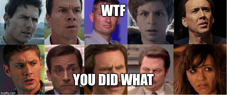 The Look | WTF; YOU DID WHAT | image tagged in the look | made w/ Imgflip meme maker