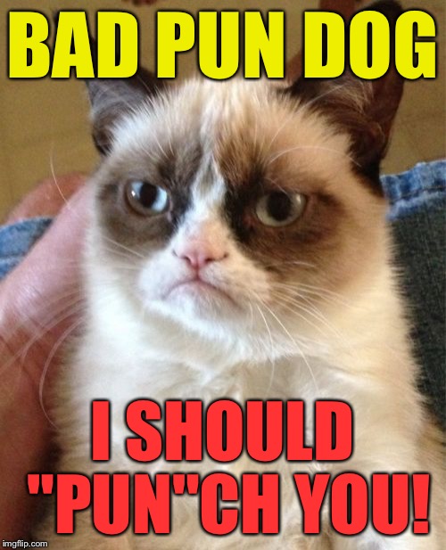 Grumpy Cat Meme | BAD PUN DOG I SHOULD "PUN"CH YOU! | image tagged in memes,grumpy cat | made w/ Imgflip meme maker