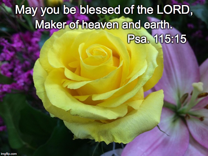 May you be blessed of the LORD, Maker of heaven and earth. Psa. 115:15 | image tagged in maker | made w/ Imgflip meme maker