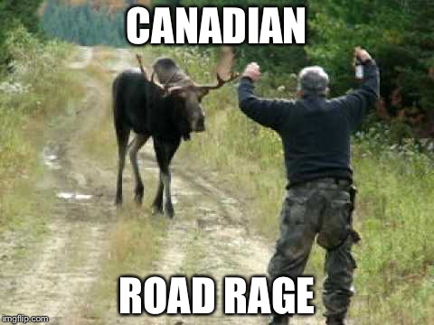 Moose Attack |  CANADIAN; ROAD RAGE | image tagged in moose attack | made w/ Imgflip meme maker