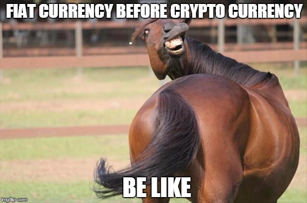 funny horse | FIAT CURRENCY BEFORE CRYPTO CURRENCY; BE LIKE | image tagged in funny horse | made w/ Imgflip meme maker