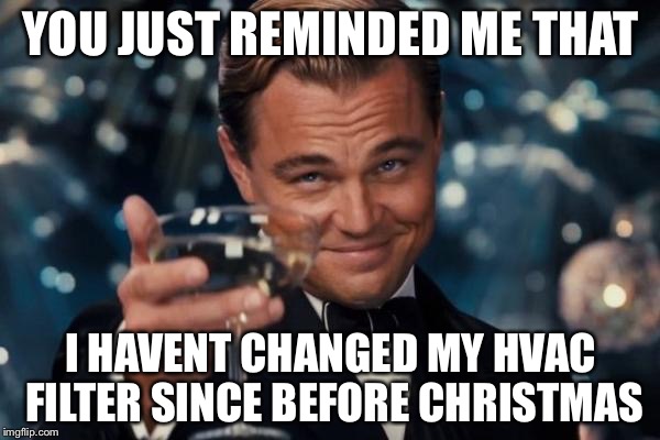 Leonardo Dicaprio Cheers Meme | YOU JUST REMINDED ME THAT I HAVENT CHANGED MY HVAC FILTER SINCE BEFORE CHRISTMAS | image tagged in memes,leonardo dicaprio cheers | made w/ Imgflip meme maker