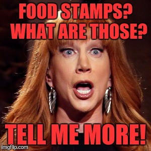 FOOD STAMPS?  WHAT ARE THOSE? TELL ME MORE! | image tagged in surprised | made w/ Imgflip meme maker