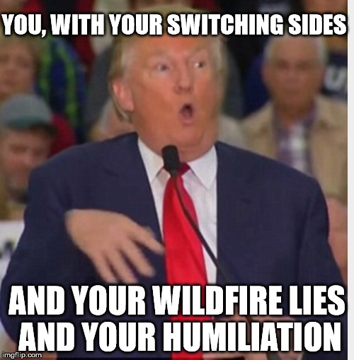 Donald Trump tho | YOU, WITH YOUR SWITCHING SIDES; AND YOUR WILDFIRE LIES AND YOUR HUMILIATION | image tagged in donald trump tho,nevertrump,impeach trump,taylor swift | made w/ Imgflip meme maker