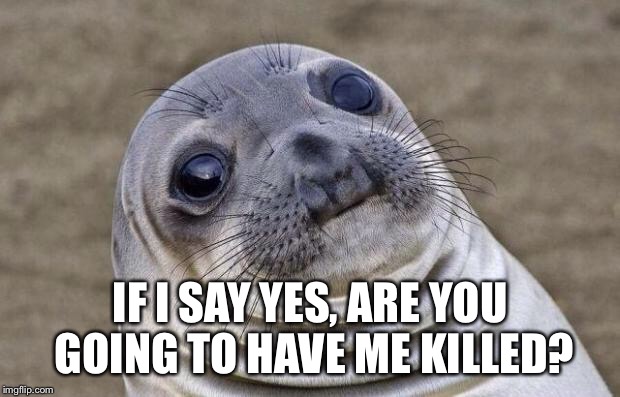 Awkward Moment Sealion Meme | IF I SAY YES, ARE YOU GOING TO HAVE ME KILLED? | image tagged in memes,awkward moment sealion | made w/ Imgflip meme maker
