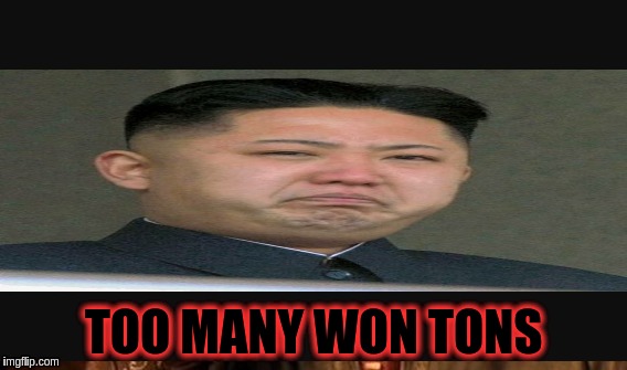 Kim Jong Un | TOO MANY WON TONS | image tagged in memes | made w/ Imgflip meme maker
