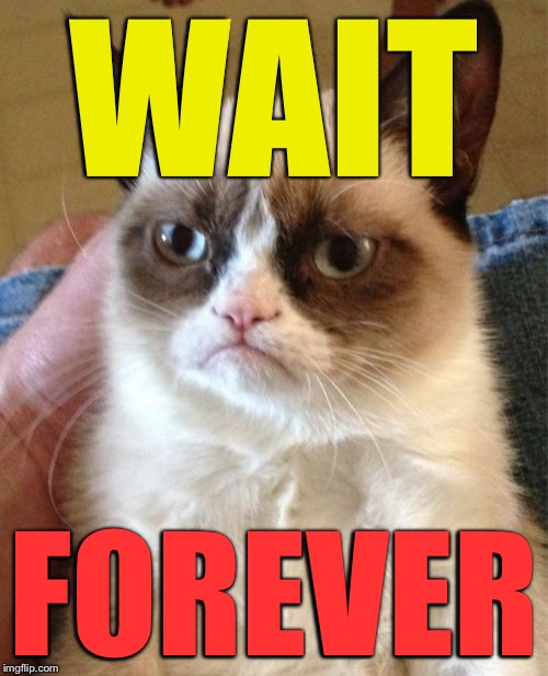 Grumpy Cat Meme | WAIT FOREVER | image tagged in memes,grumpy cat | made w/ Imgflip meme maker