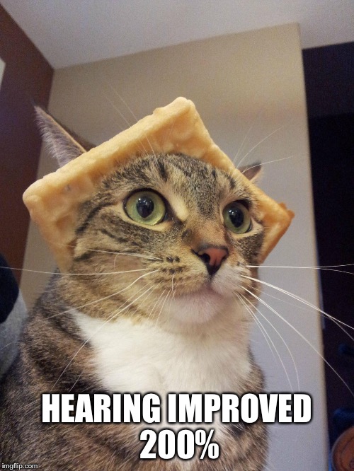 HEARING IMPROVED 200% | made w/ Imgflip meme maker