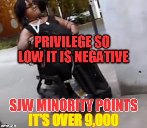 R2-DINDU SJW Goddess: perfection they all aspire to be | PRIVILEGE SO LOW IT IS NEGATIVE; SJW MINORITY POINTS; IT'S OVER 9,000 | image tagged in sjws,privilege,its over 9000,wheelchair | made w/ Imgflip meme maker