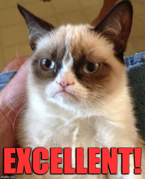 Grumpy Cat Meme | EXCELLENT! | image tagged in memes,grumpy cat | made w/ Imgflip meme maker