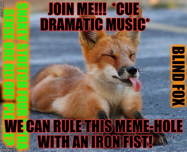 JOIN ME!!!  *CUE DRAMATIC MUSIC* WE CAN RULE THIS MEME-HOLE WITH AN IRON FIST! | made w/ Imgflip meme maker