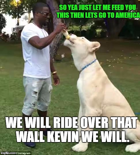 SO YEA JUST LET ME FEED YOU THIS THEN LETS GO TO AMERICA; WE WILL RIDE OVER THAT WALL KEVIN WE WILL. | image tagged in racial equality | made w/ Imgflip meme maker