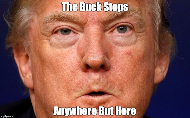 "The Buck Stops... Anywhere But Here" | The Buck Stops Anywhere But Here | image tagged in deplorable donald,despicable donald,devious donald,dishonorable donald,dishonest donald,brown back teeth | made w/ Imgflip meme maker