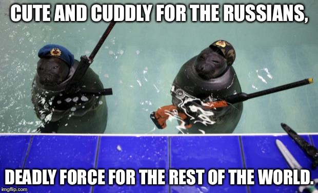 Russian navy seals | CUTE AND CUDDLY FOR THE RUSSIANS, DEADLY FORCE FOR THE REST OF THE WORLD. | image tagged in russian navy seals | made w/ Imgflip meme maker