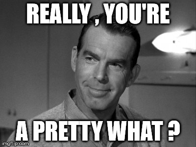 REALLY , YOU'RE A PRETTY WHAT ? | made w/ Imgflip meme maker