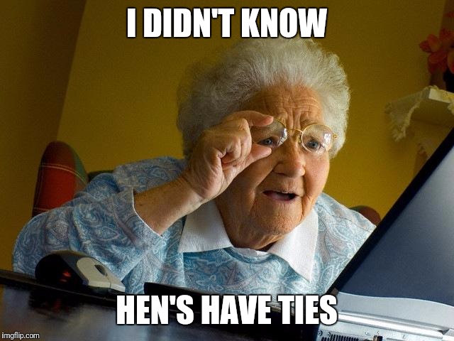 Grandma Finds The Internet | I DIDN'T KNOW; HEN'S HAVE TIES | image tagged in memes,grandma finds the internet | made w/ Imgflip meme maker