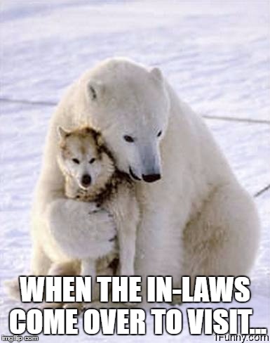 WHEN THE IN-LAWS COME OVER TO VISIT... | image tagged in dog,husky,bear,polar bear,inlaws | made w/ Imgflip meme maker