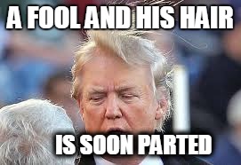 I was bored so i made this | A FOOL AND HIS HAIR; IS SOON PARTED | image tagged in donald trump,donald trumph hair | made w/ Imgflip meme maker