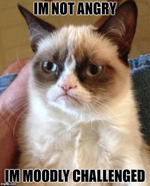 Grumpy Cat | IM NOT ANGRY; IM MOODLY CHALLENGED | image tagged in memes,grumpy cat | made w/ Imgflip meme maker