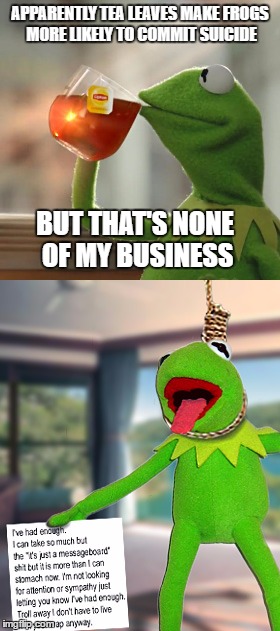 But That's None Of My Business | APPARENTLY TEA LEAVES MAKE FROGS MORE LIKELY TO COMMIT SUICIDE; BUT THAT'S NONE OF MY BUSINESS | image tagged in kermit the frog | made w/ Imgflip meme maker
