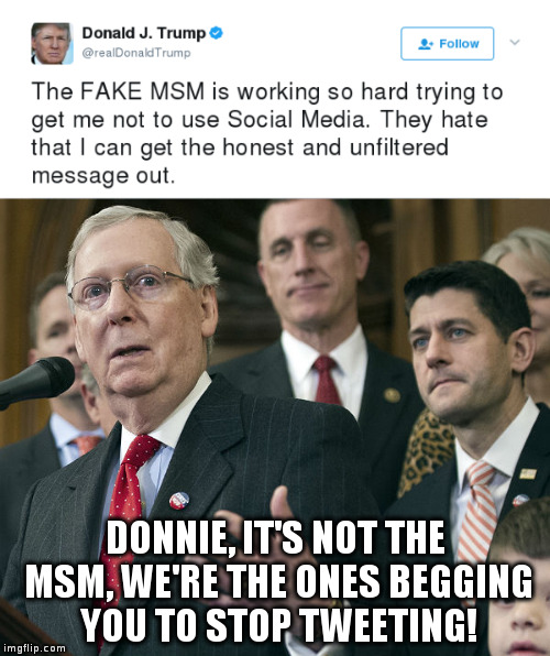 As usual Donald gets this exactly backwards! | DONNIE, IT'S NOT THE MSM, WE'RE THE ONES BEGGING YOU TO STOP TWEETING! | image tagged in trump,humor,msm,gop,tweets | made w/ Imgflip meme maker