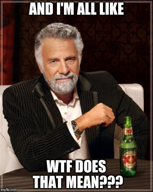 The Most Interesting Man In The World Meme | AND I'M ALL LIKE WTF DOES THAT MEAN??? | image tagged in memes,the most interesting man in the world | made w/ Imgflip meme maker
