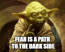 yoda | FEAR IS A PATH TO THE DARK SIDE | image tagged in yoda | made w/ Imgflip meme maker