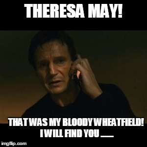 Liam Neeson Taken Meme | THERESA MAY! THAT WAS MY BLOODY WHEATFIELD! I WILL FIND YOU ....... | image tagged in memes,liam neeson taken | made w/ Imgflip meme maker