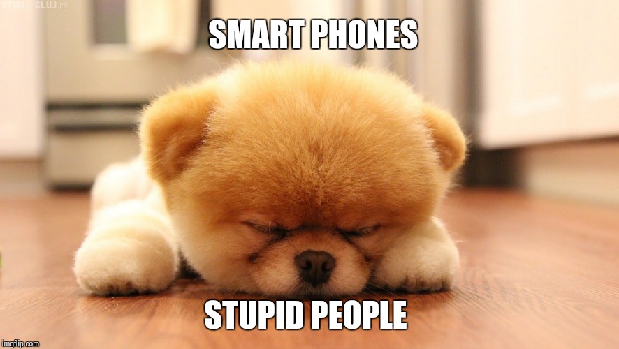 Sleeping dog | SMART PHONES STUPID PEOPLE | image tagged in sleeping dog | made w/ Imgflip meme maker