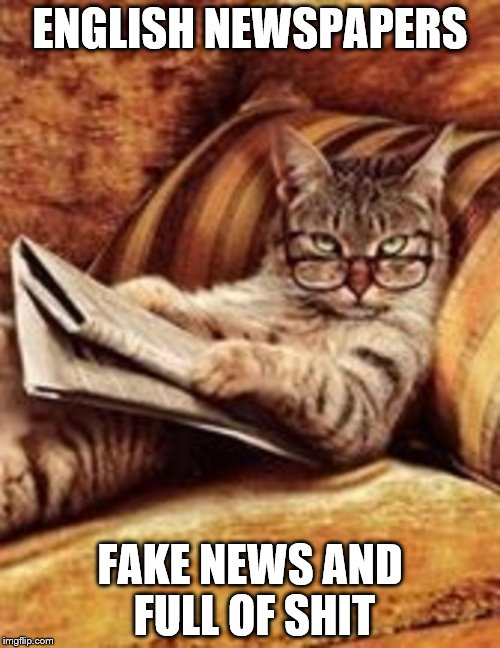 Newspaper cat | ENGLISH NEWSPAPERS; FAKE NEWS AND FULL OF SHIT | image tagged in newspaper cat | made w/ Imgflip meme maker