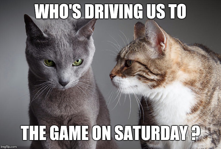 You Didn't Share ?!?! | WHO'S DRIVING US TO THE GAME ON SATURDAY ? | image tagged in you didn't share | made w/ Imgflip meme maker